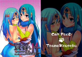 Stockings (C82) [Cat Food & Toumei Kousaku (NaPaTa & Chika)] Kenja-san Reberu Ju-yon (Drgon Quest III) [Chinese] [Incomplete]- Dragon quest iii hentai Car Sex
